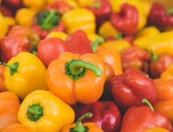 Secret Benefits of Peppers for Health