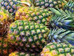 Benefits of Pineapple for Children